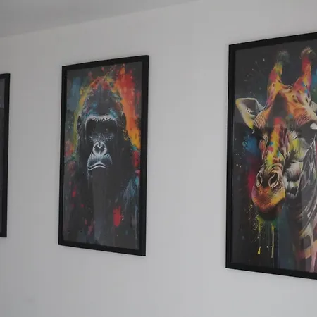 Entier 2 Chez Zarius